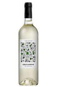 Sauvignon Vigne Antique Vp75 x12