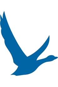 GREY GOOSE L'ORIGINAL 40degre 1,75L X01