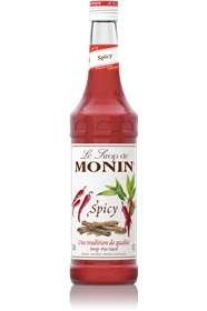 MONIN SPICY 70CL X01