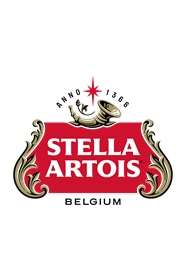 STELLA ARTOIS 4.8° - FUT 30L
